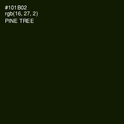 #101B02 - Pine Tree Color Image